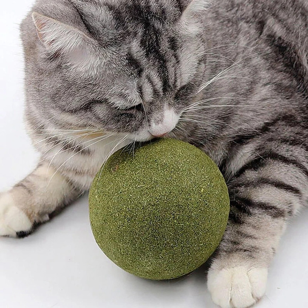 Huge Catnip Ball 3.94 in For Indoor Cats Teeth Cleaning Lick Dental Chew Toys